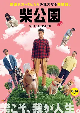 一键识图找原图出处以图搜图