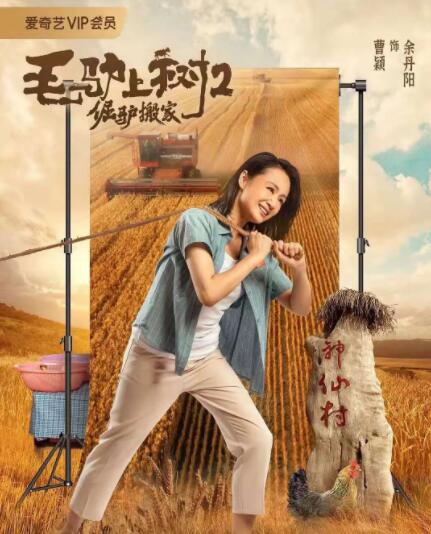 牢笼中的妖精