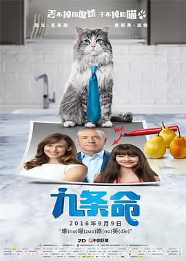 免费观看a毛片一区二区不卡