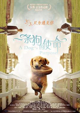 亚州视频一区二区