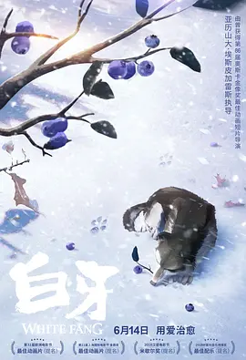 伊人影音