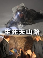 欧美一区二区久久精品