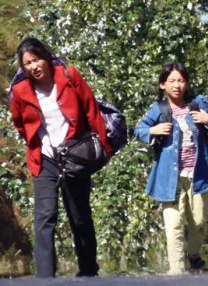 噬血狂袭第一季高清在线观看