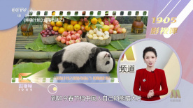 保险设计公司的女职员